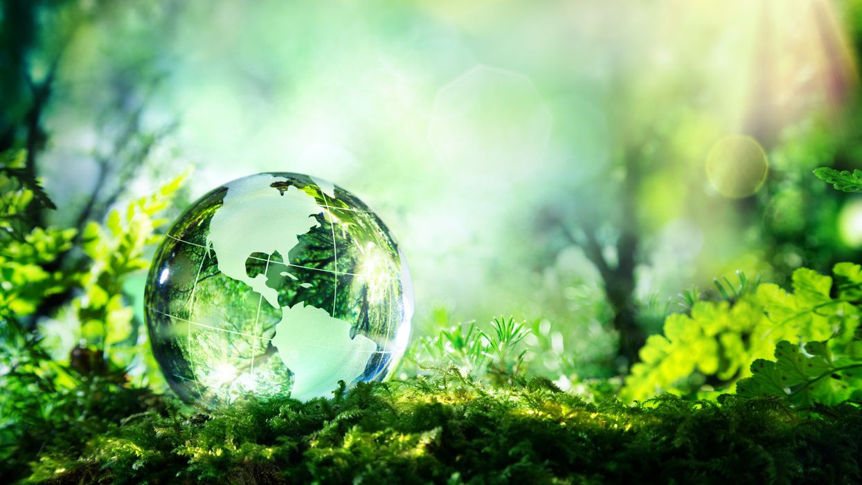clear globe
