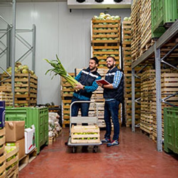 Cold chain technologies keep produce fresh