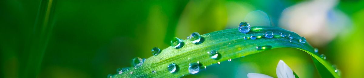 Environmental Sustainability