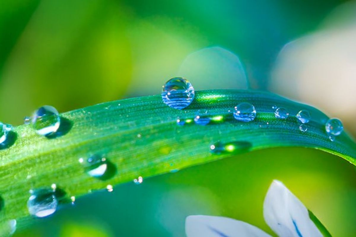 Environmental Sustainability