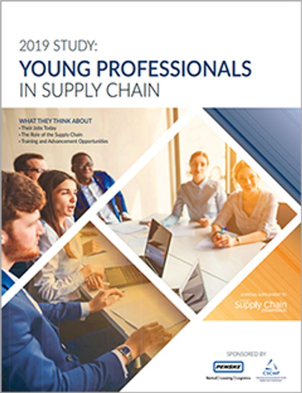 Young Professionals Survey
