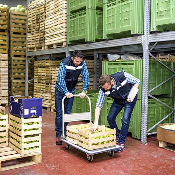 Make the Most of Your Food and Beverage Warehouse Space