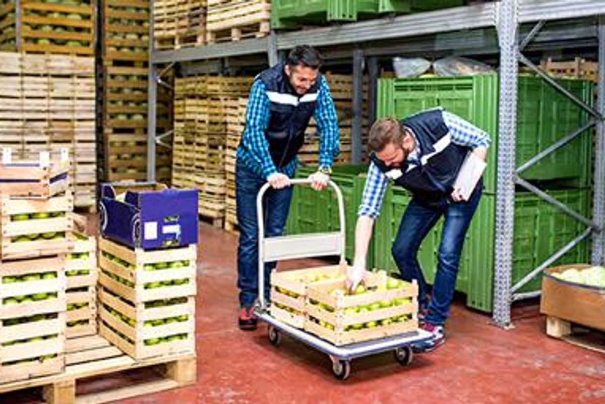Make the Most of Your Food and Beverage Warehouse Space