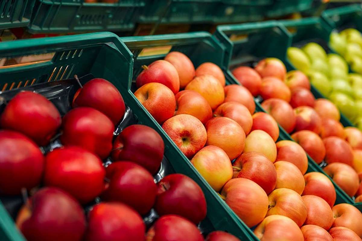 Cold Chain Transportation: The Secret to Keeping Fresh Food Fresh