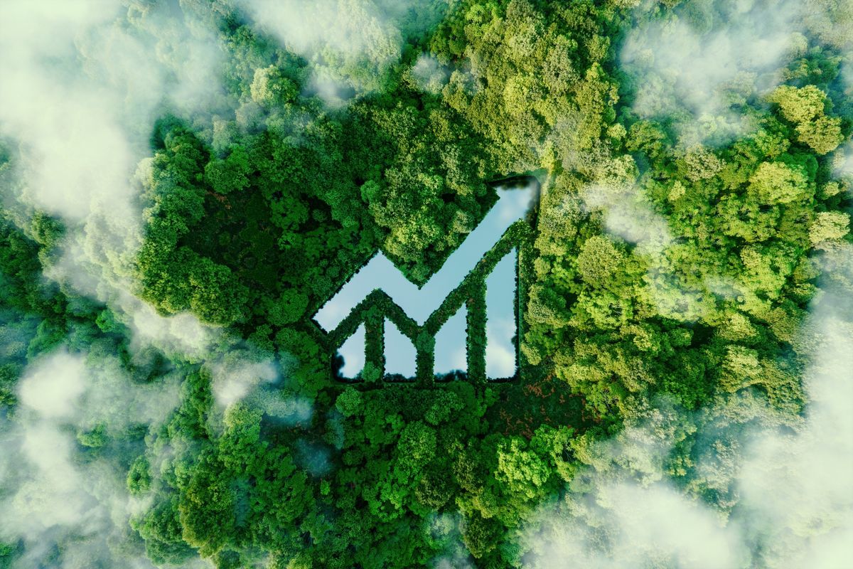 overhead view of trees with a bar graph cut into them showing growth.